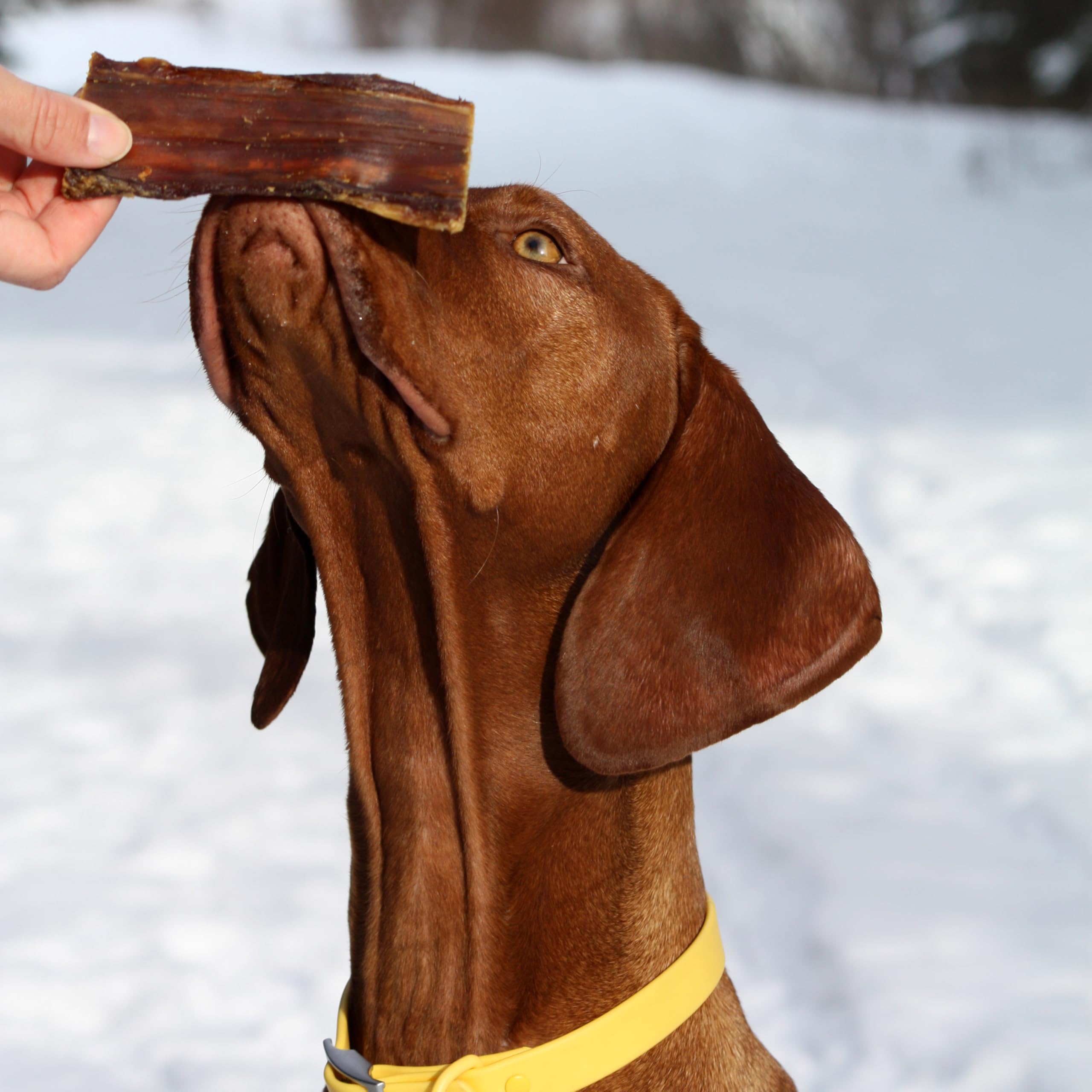 Cadet 100% Beef Strips Dog Treats, Single Ingredient Beef Esophagus Dog Jerky, Healthy High Protein Rawhide Alternative for Small & Large Dogs, 8 Ounce - Image 4