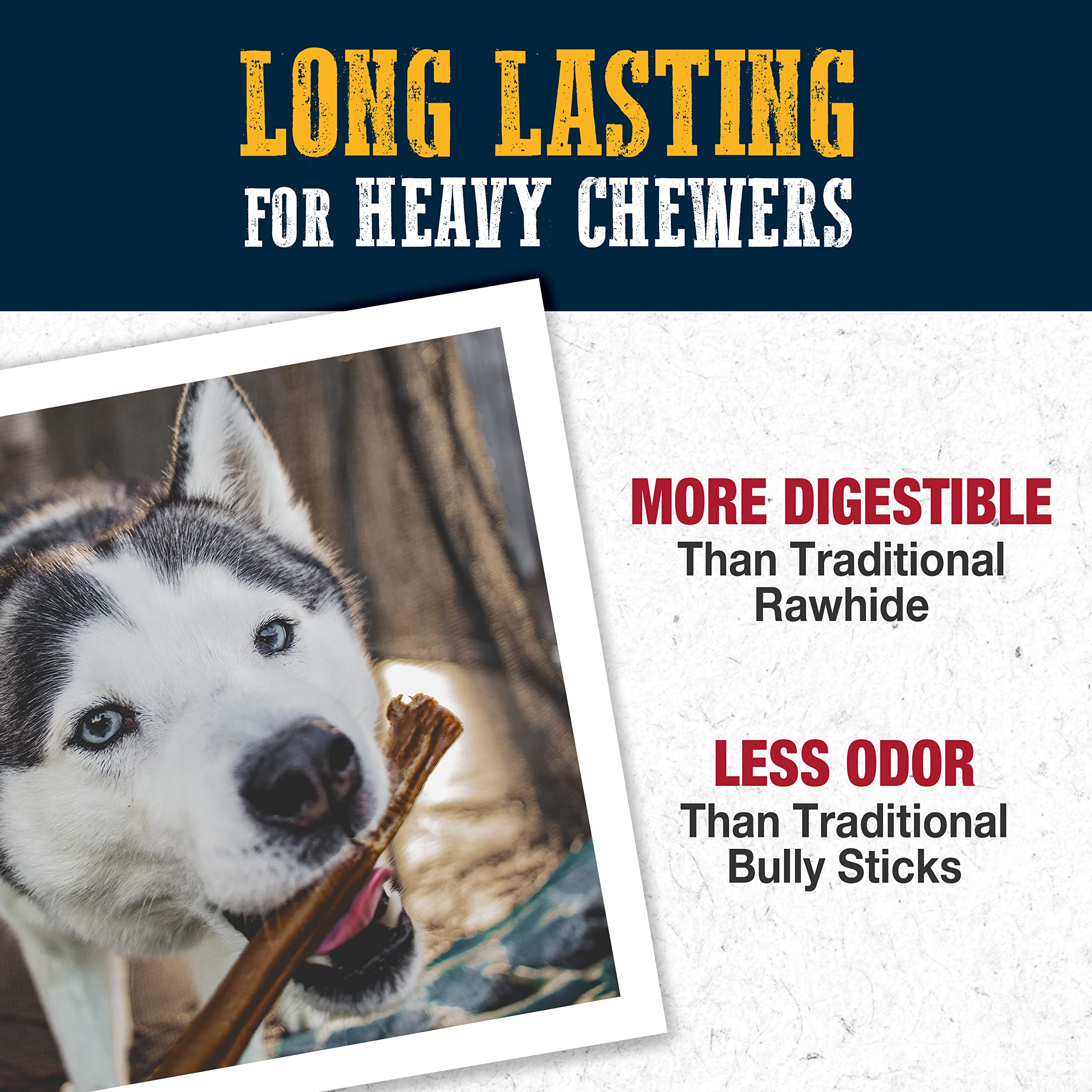 Cadet Bully Hide Sticks for Large Dogs, All-Natural Beef Pizzle, Limited-Ingredient Long-Lasting Dog Chews for Aggressive Chewers, 7 Count - Image 4