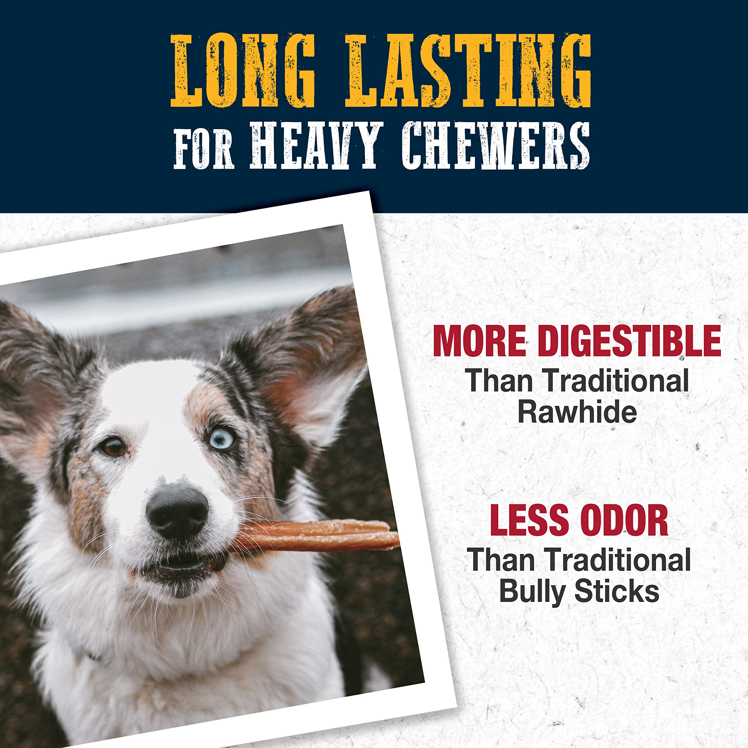 Cadet Bully Hide Sticks for Small Dogs, All-Natural Beef Pizzle, Limited-Ingredient Long-Lasting Dog Chews for Aggressive Chewers, 12 Count - Image 4