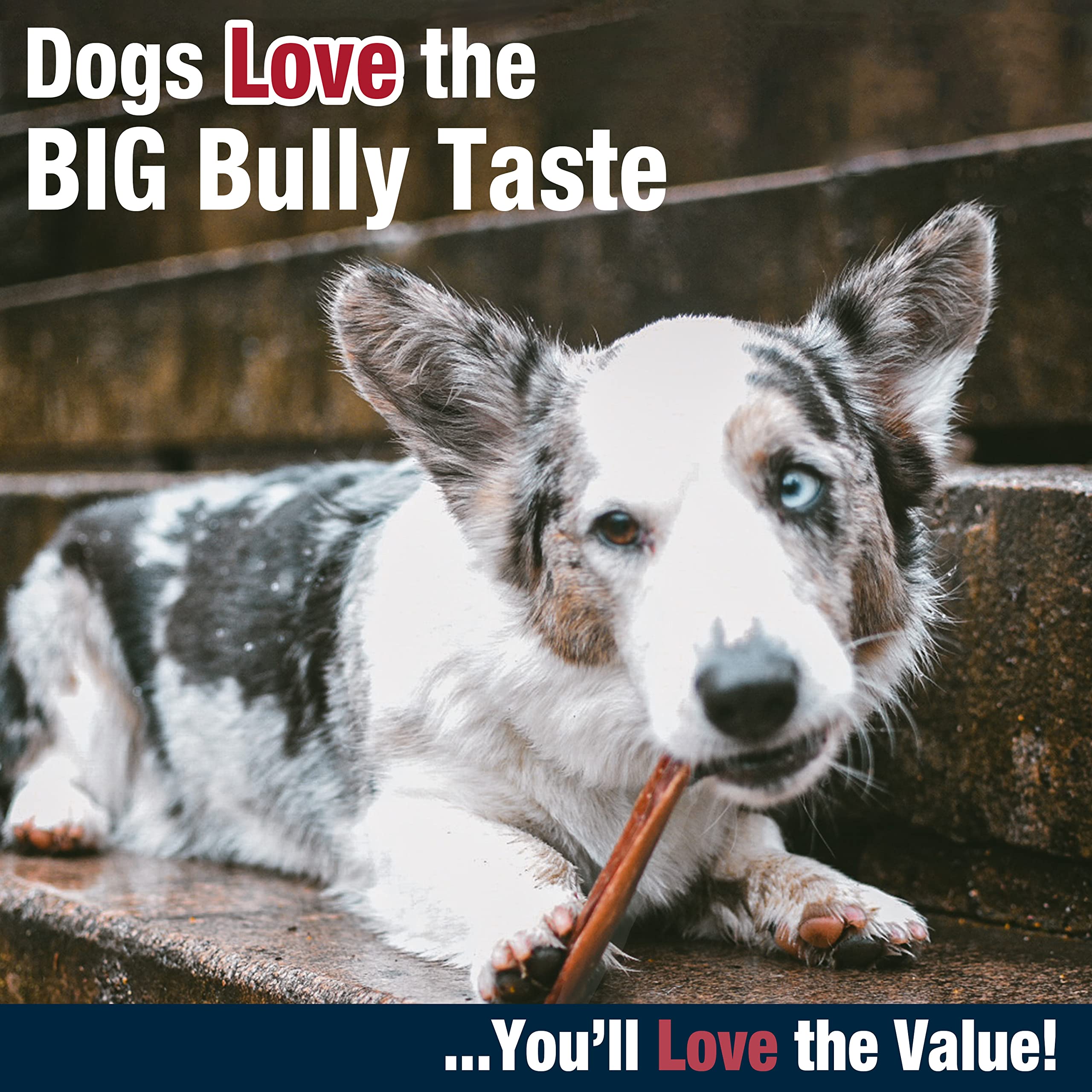 Cadet Bully Hide Sticks for Small Dogs, All-Natural Beef Pizzle, Limited-Ingredient Long-Lasting Dog Chews for Aggressive Chewers, 12 Count - Image 6