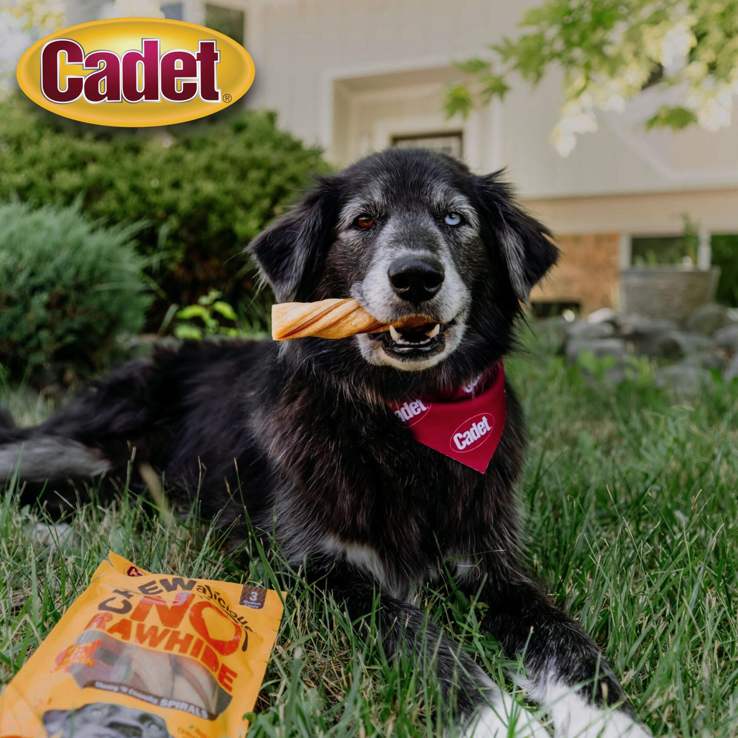 Cadet Chewalicious Chewy 'N Crunchy Spiral Dog Treats, Limited Ingredient, Rawhide-Free, Long-Lasting Chews for Dogs Made with Real Chicken, 3 Count, Pack of 1 - Image 3