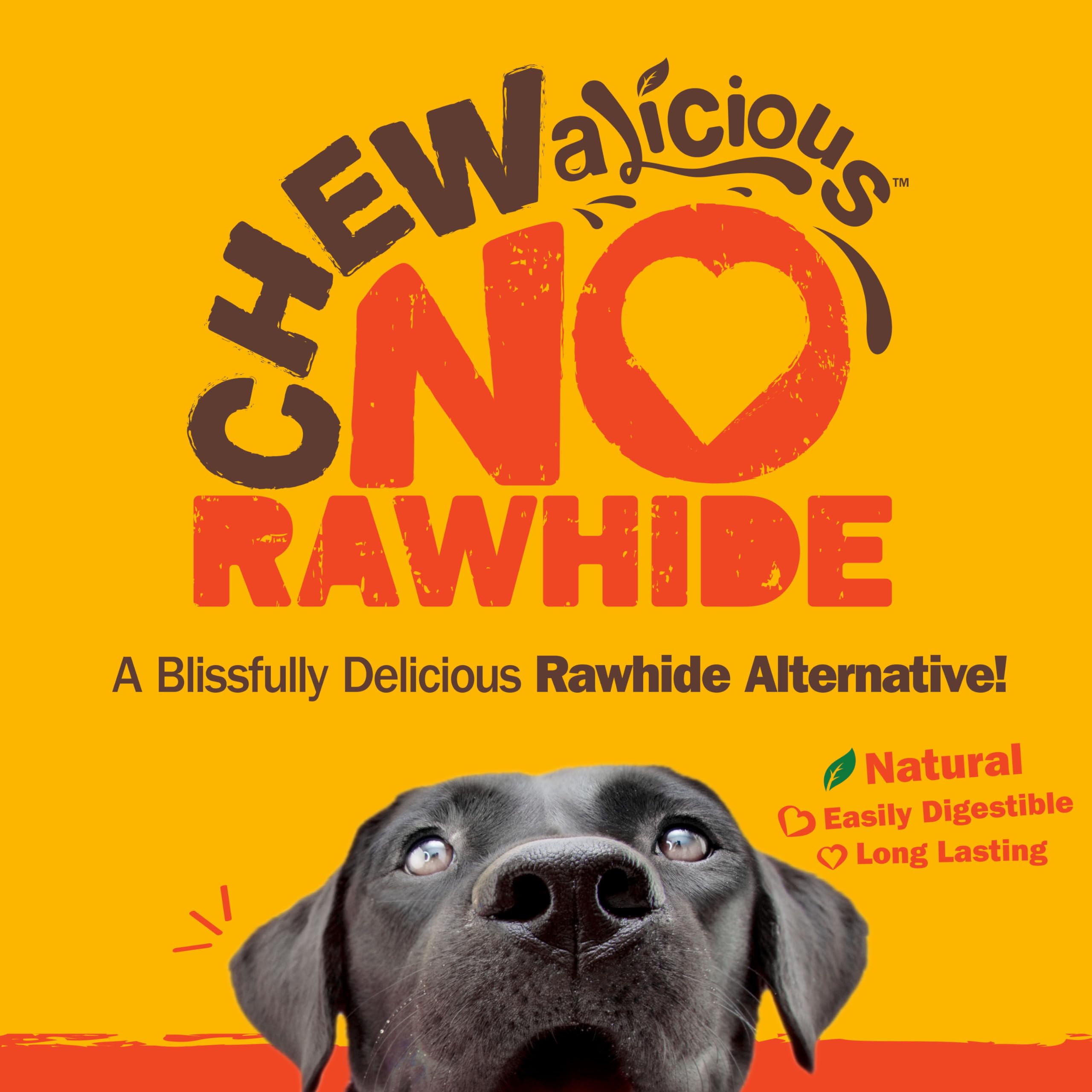 Cadet Chewalicious Chewy 'N Crunchy Spiral Dog Treats, Limited Ingredient, Rawhide-Free, Long-Lasting Chews for Dogs Made with Real Chicken, 3 Count, Pack of 1 - Image 8