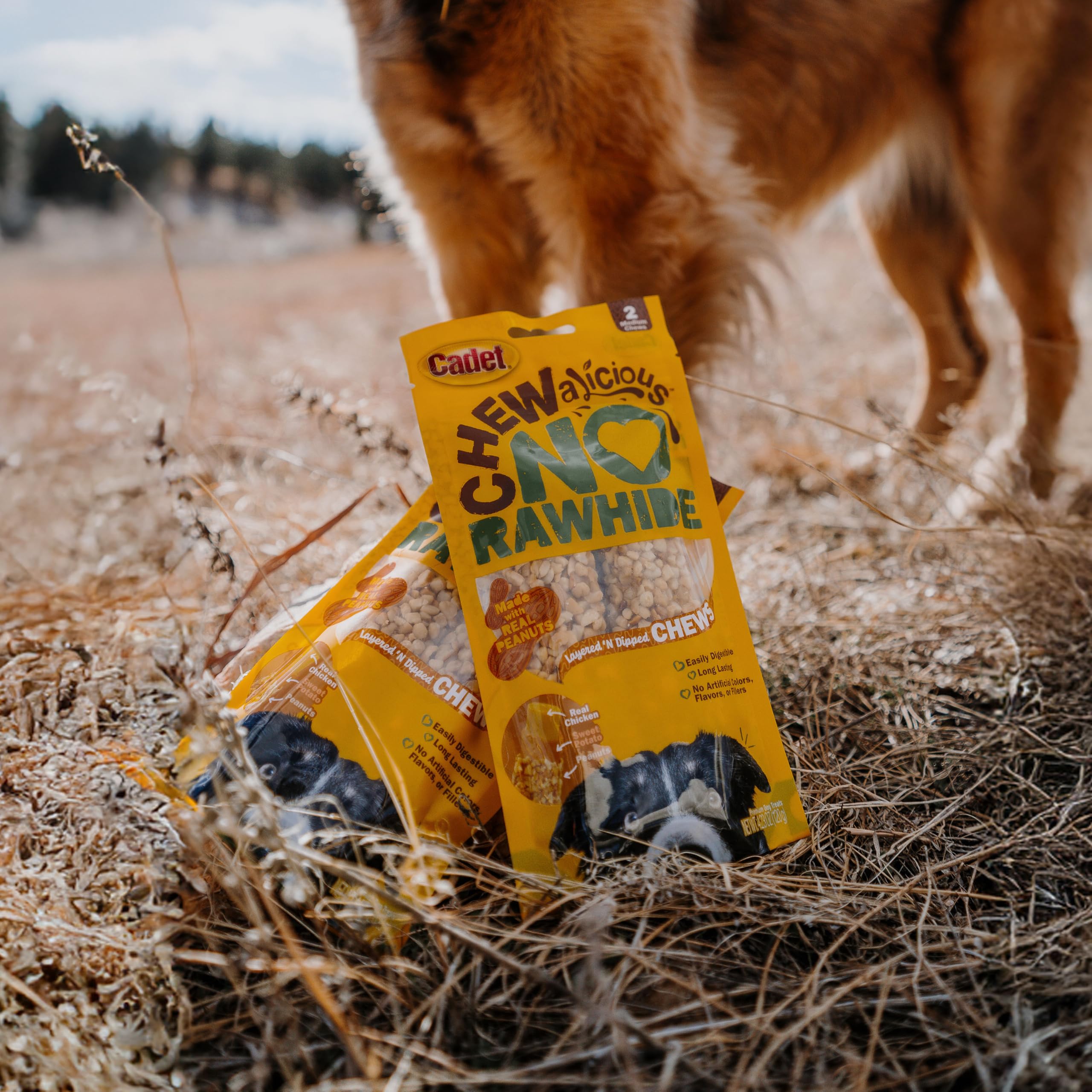Cadet Chewalicious Layered 'N Dipped with Peanuts, Rawhide-Free Dog Chews, Limited-Ingredient & Long-Lasting Chew Treats for Dogs, Made with Real Chicken, Peanut Flavor, 2 Pack - Image 5