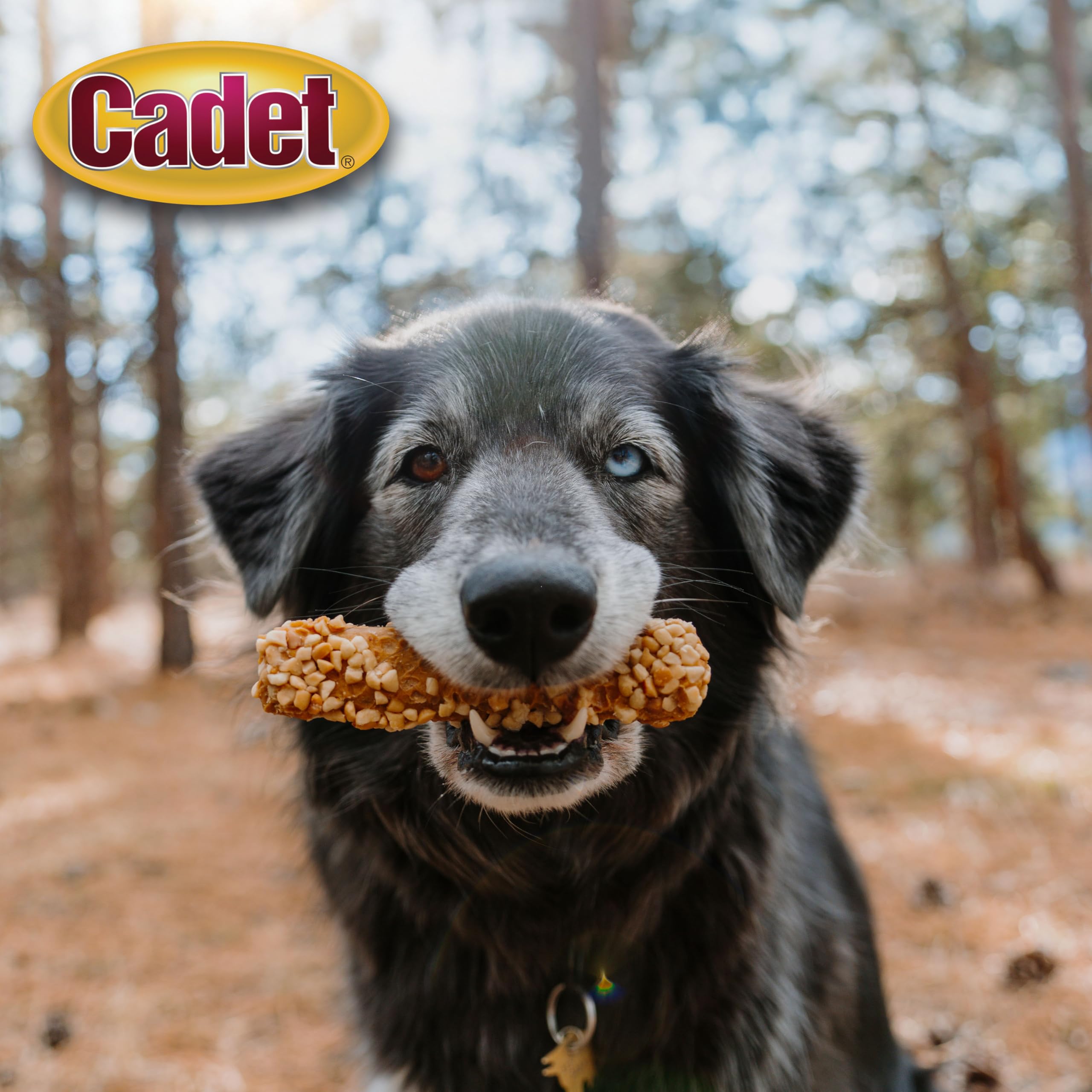 Cadet Chewalicious Layered 'N Dipped with Peanuts, Rawhide-Free Dog Chews, Limited-Ingredient & Long-Lasting Chew Treats for Dogs, Made with Real Chicken, Peanut Flavor, 2 Pack - Image 8