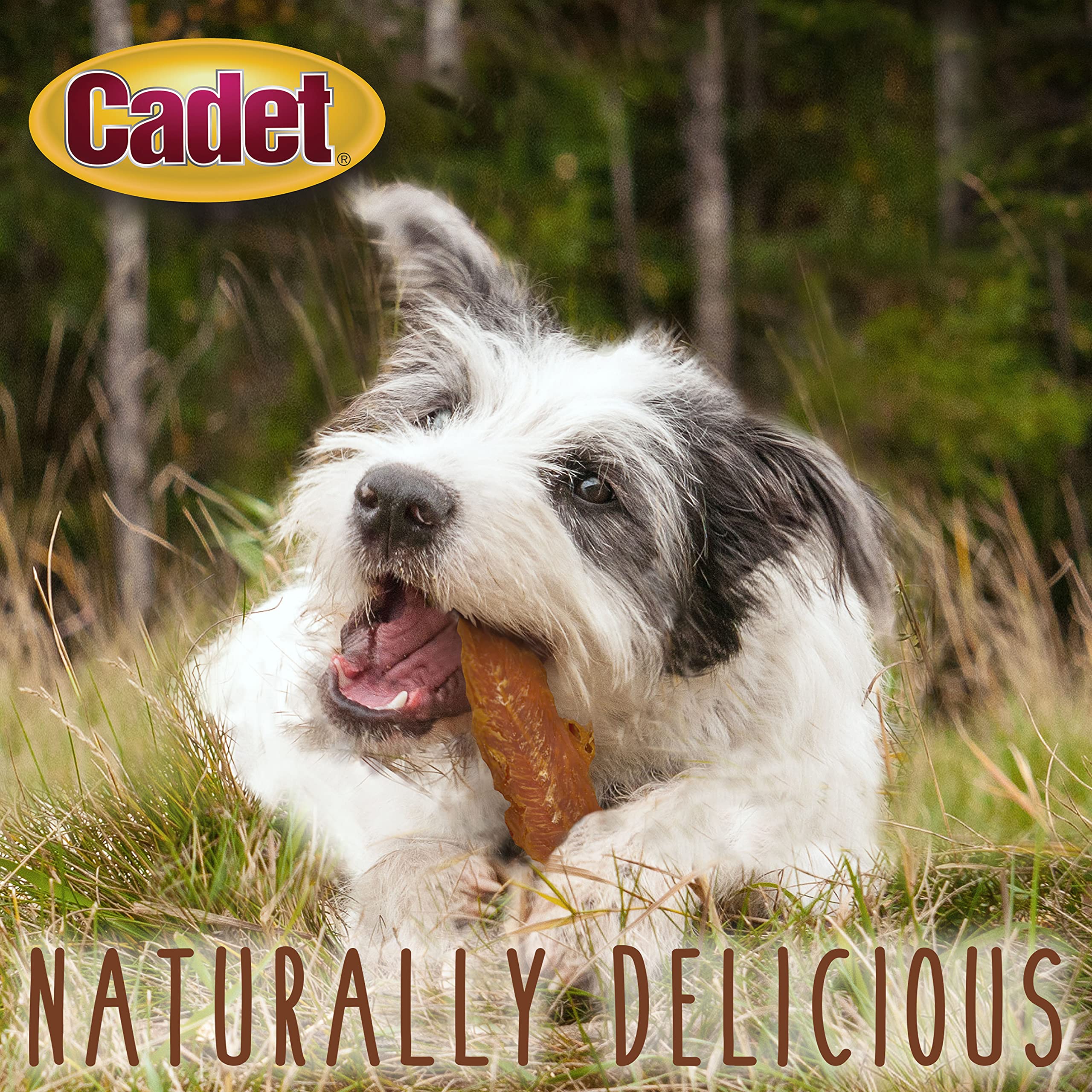 Cadet Gourmet Chicken Breast Dog Treats 3 oz. - Image 6