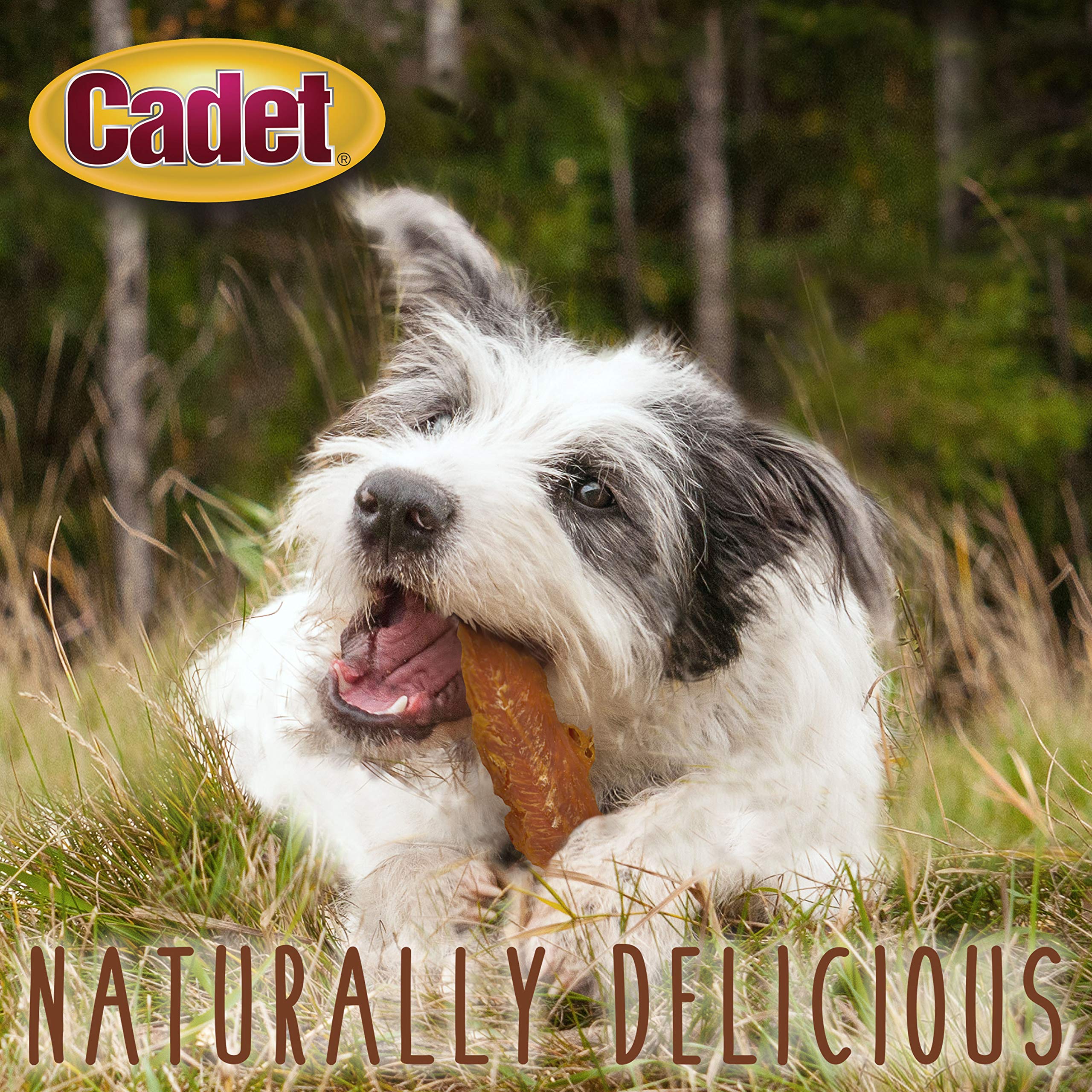 Cadet Gourmet Chicken Breast Dog Treats - Healthy & Natural Chicken Dog Training Treats for Small & Large Dogs - Inspected & Tested in USA (14 oz.) - Image 5