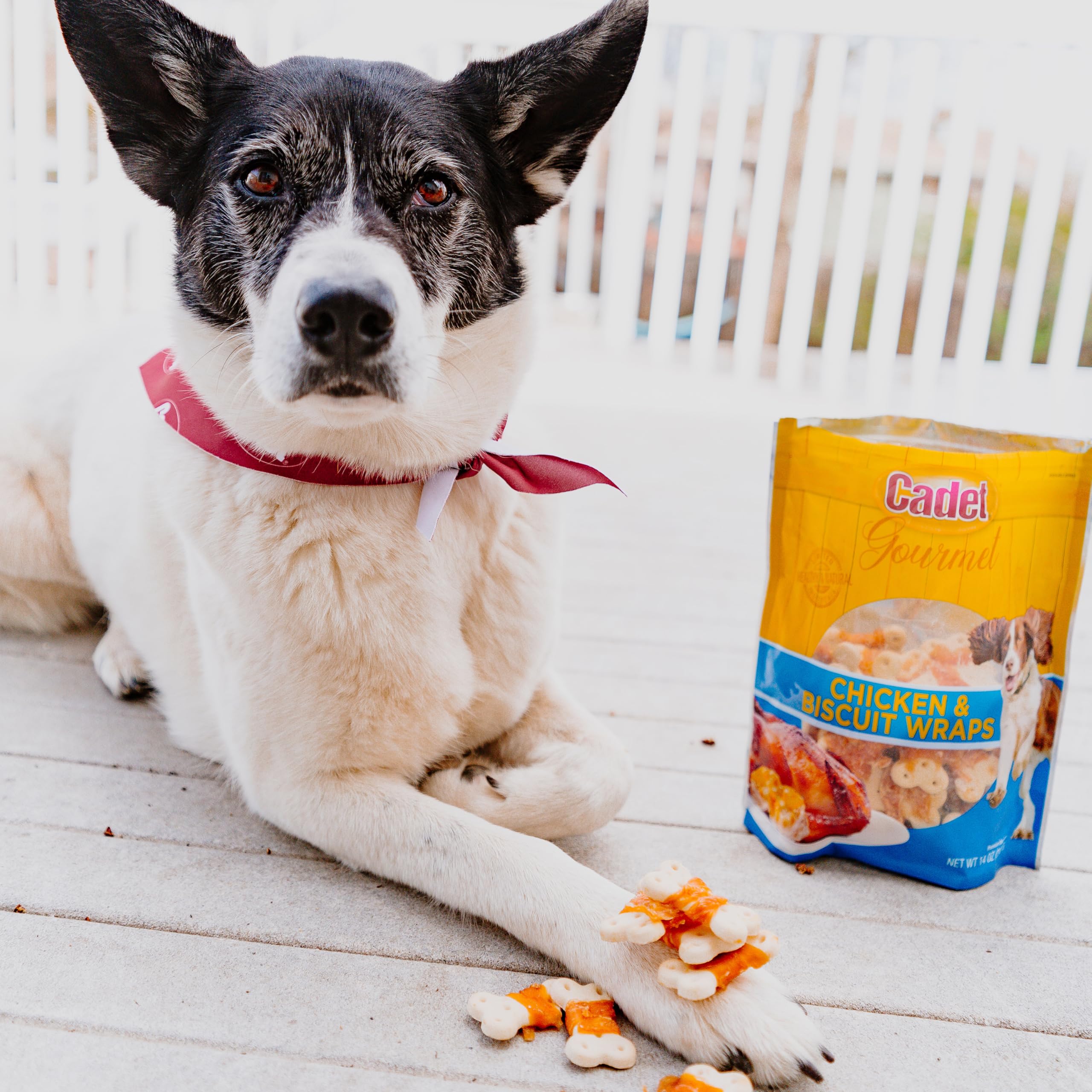 Cadet Gourmet Chicken Wrapped Biscuit Dog Treats, Training Treats for Small and Large Dogs, Inspected & Tested in USA, 14 oz. - Image 6