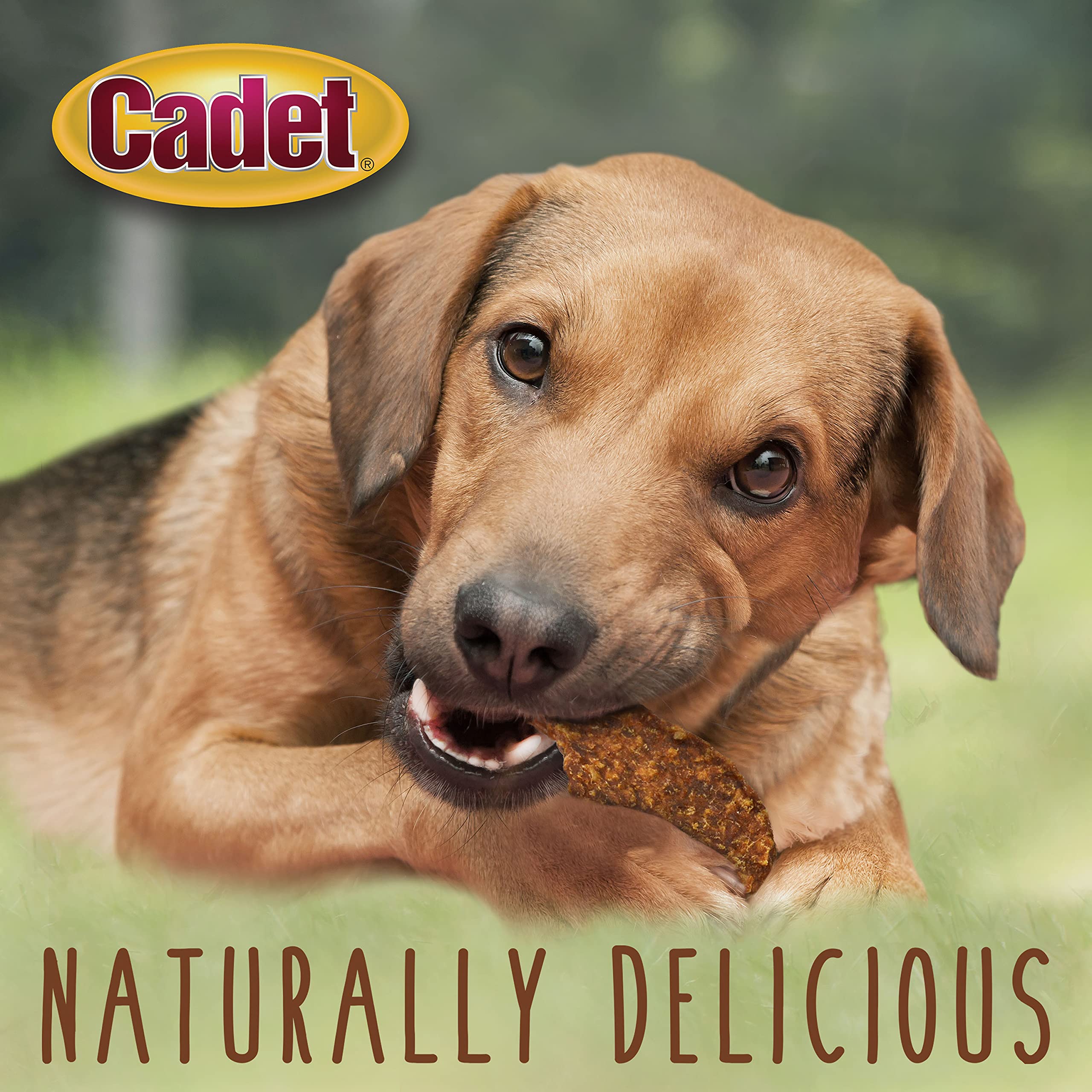 Cadet Gourmet Jerky Dog Treats, Healthy and Natural Duck Training Treats for Small & Large Dogs, Inspected & Tested in USA, 14 oz. - Image 4