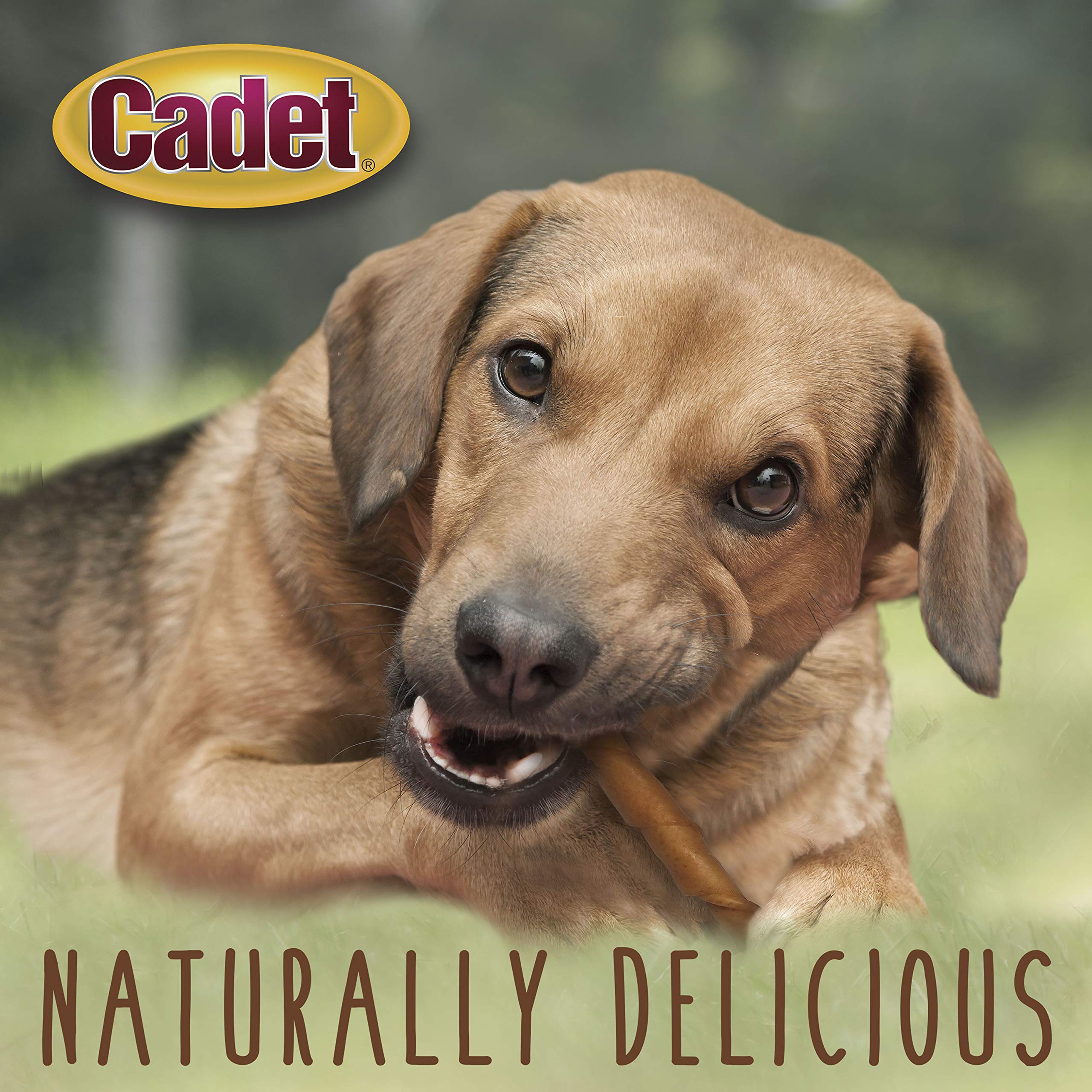 Cadet Gourmet Pork Hide Rolls (1 Count) - Image 4