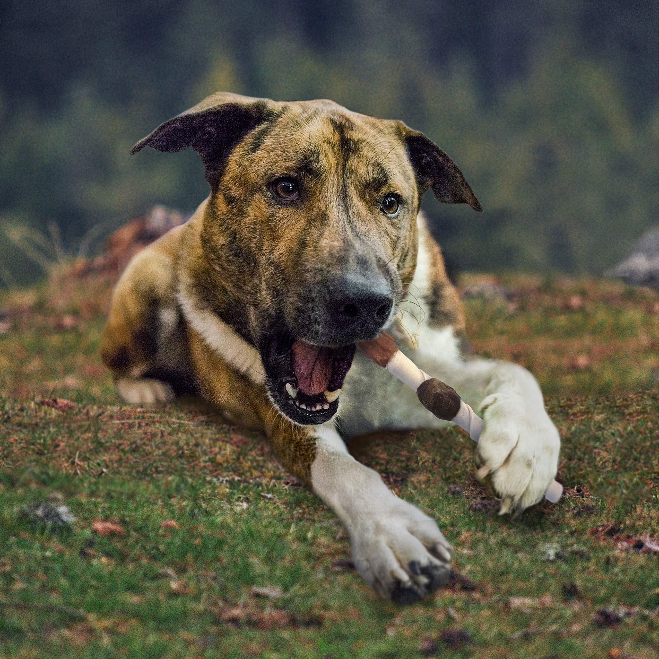 Cadet Gourmet Shish Kabob Dog Treats for Large Dogs, Healthy & Natural Chicken & Sweet Potato Chew Sticks, Beef Hide, Extra Large 10 Inch, 4 Count (Pack of 1) - Image 10