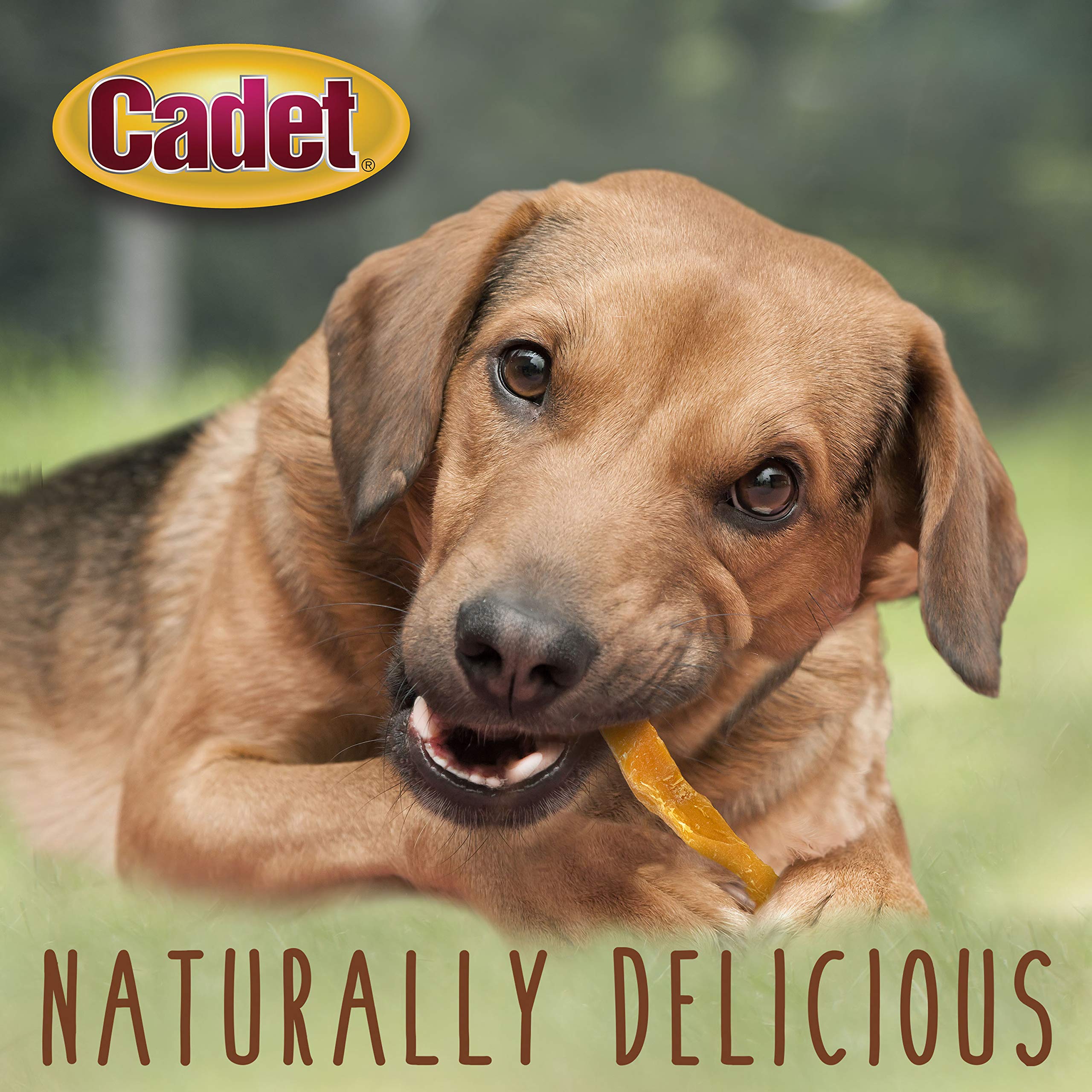 Cadet Gourmet Sweet Potato Steak Fries, Healthy Natural Chewy Dog Treats, Single-Ingredient, for Small & Large Dogs, 1 Pound - Image 5