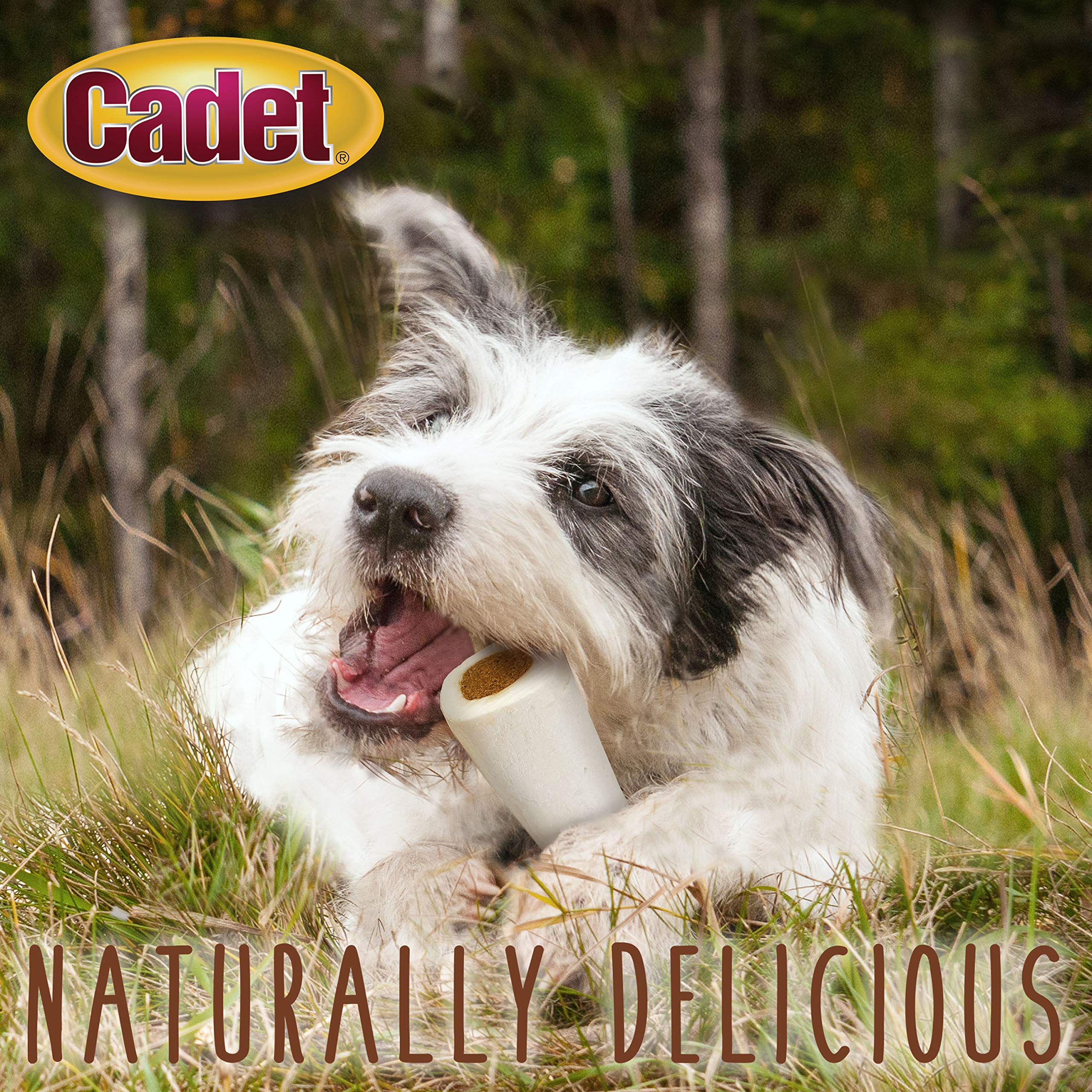 Cadet Junior Stuffed Shin Bones - Highly Digestible, High Protein, Long-Lasting Dog Chew Bone for Aggressive Chewers, Supports Dental Health, - Peanut Butter Flavor, Mini (2 Count) - Image 4