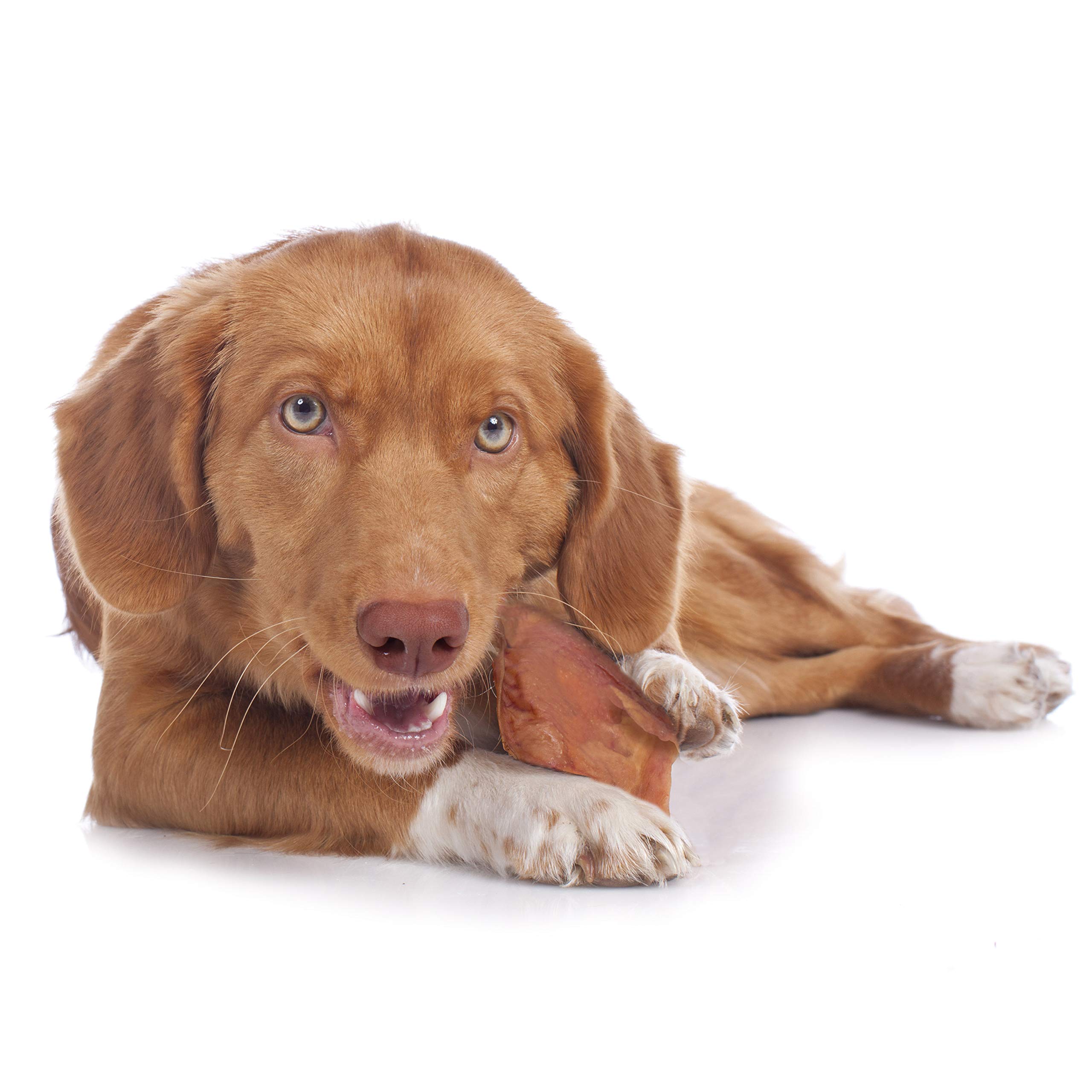 Cadet Natural Pig Ears for Dogs, Long Lasting & Natural Chew Treats for Dogs, 25 Count - Image 3