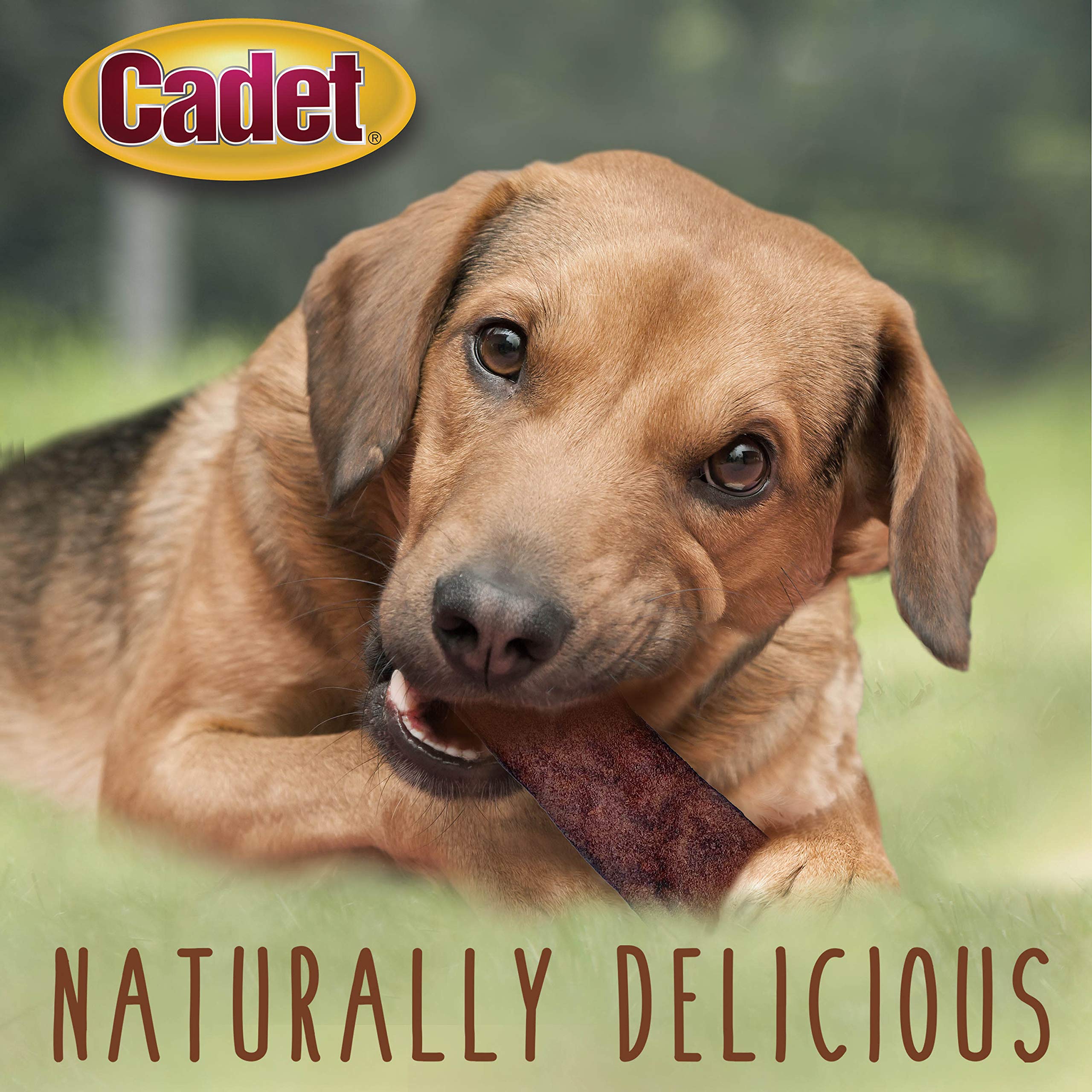 Cadet Premium Grade Beef Hide Chips for Dogs Beef Flavor 1 Pound - Image 4