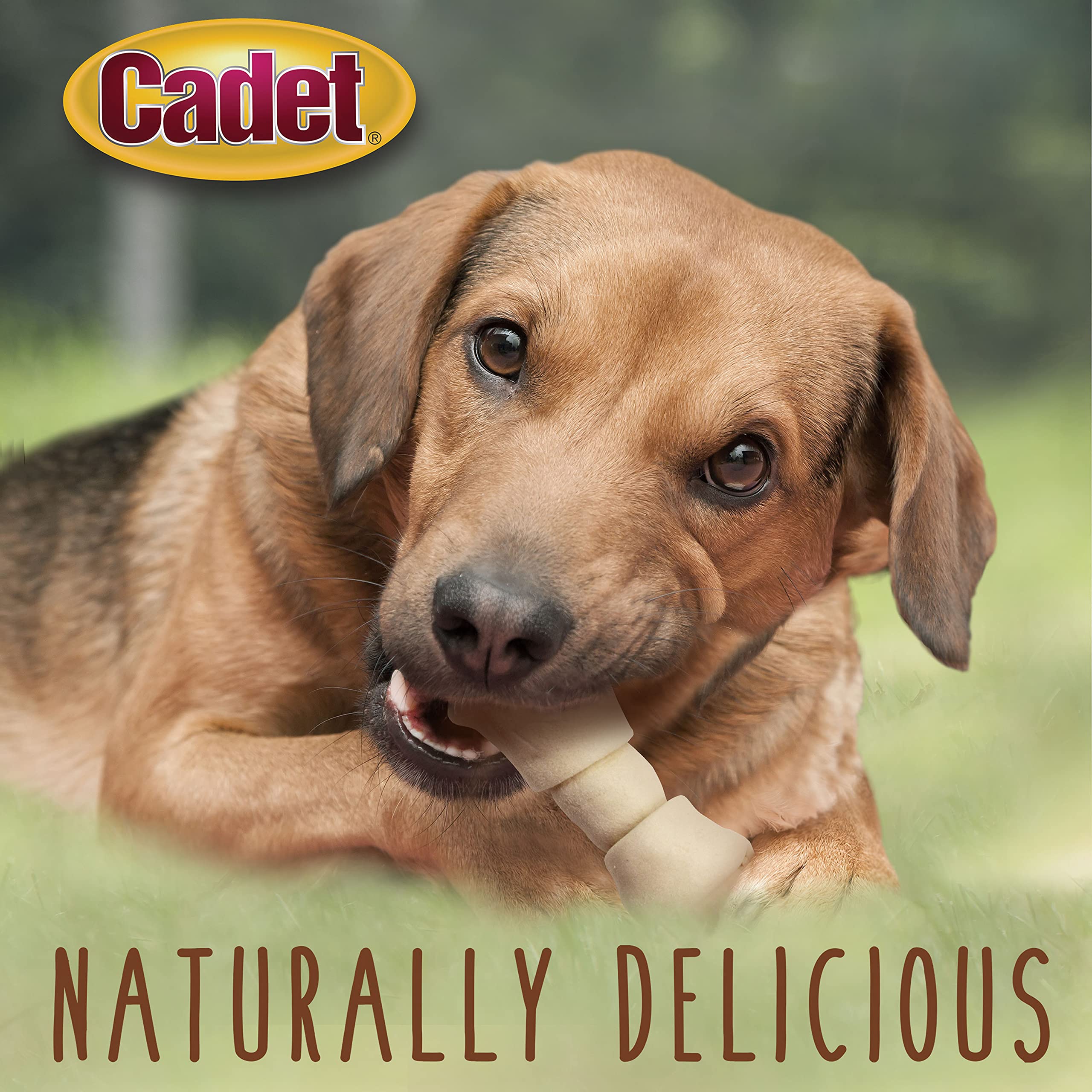 Cadet Premium Grade Beef Hide Dog Chews, 4 "- 5" Long-Lasting Knotted Rawhide Bones, Single-Ingredient, Natural Flavor, 2 Pound - Image 5