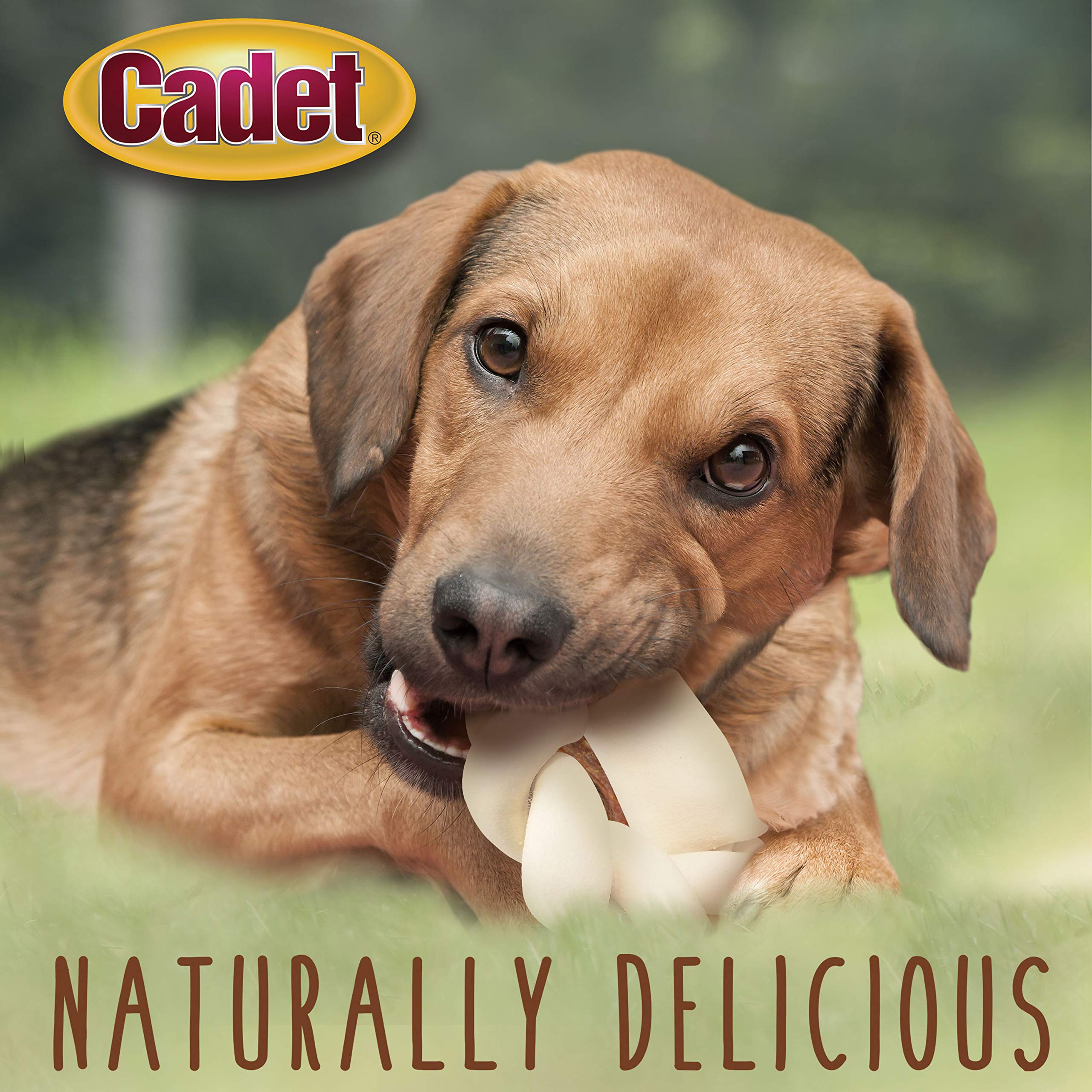 Cadet Premium Grade Beef Hide for Dogs, Long Lasting Rawhide Donut Bone, Single Ingredient Dog Chews, 5 Inch (1 Count) - Image 4