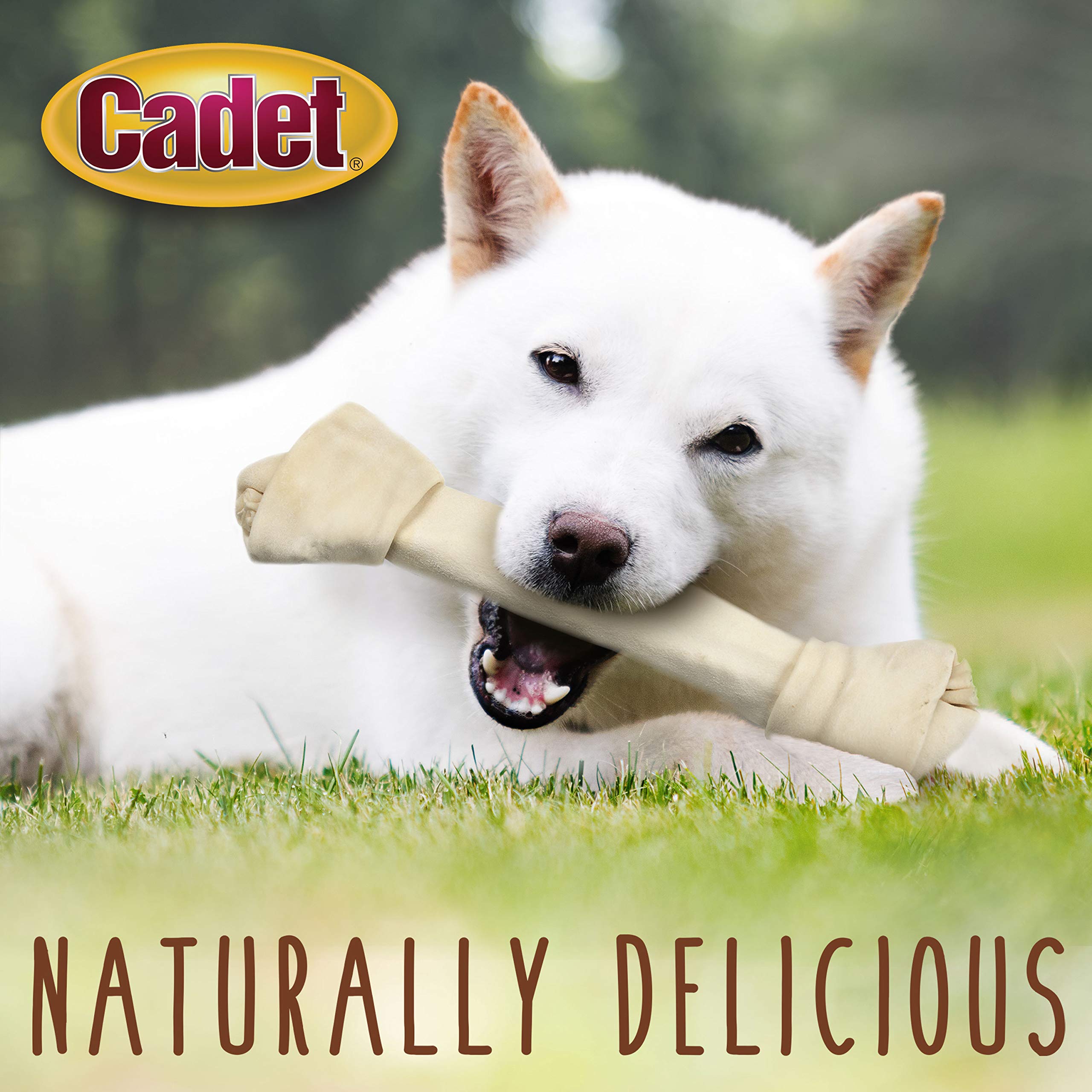 Cadet Premium Grade Beef Hide for Dogs, Long-Lasting Rawhide Knotted Bones Single-Ingredient Dog Chews, 13" - 14", 1 Count - Image 5