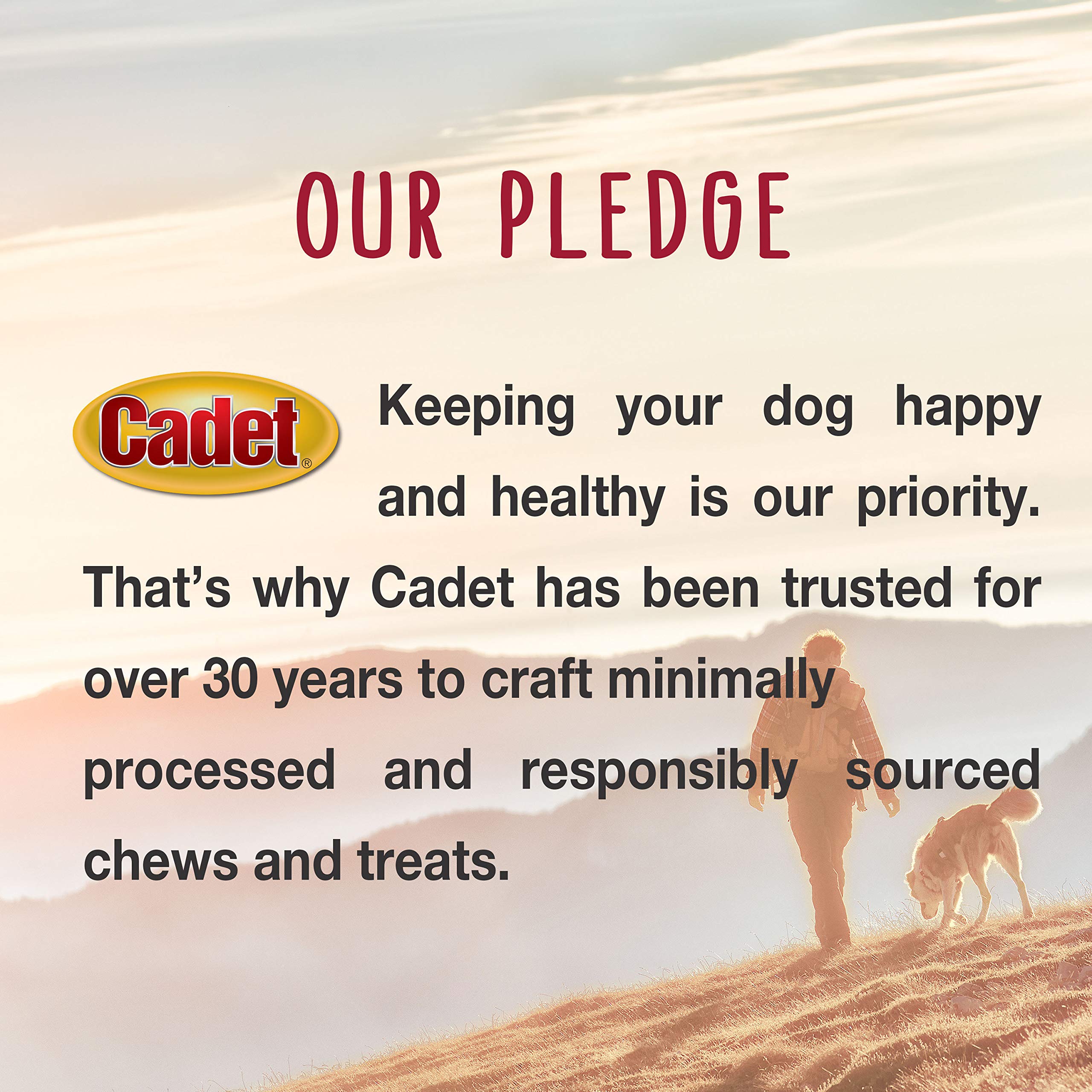 Cadet Premium Grade Beef Hide for Dogs, Long Lasting Rawhide Donut Bone, Single Ingredient Dog Chews, 8 Inch (1 Count) - Image 4