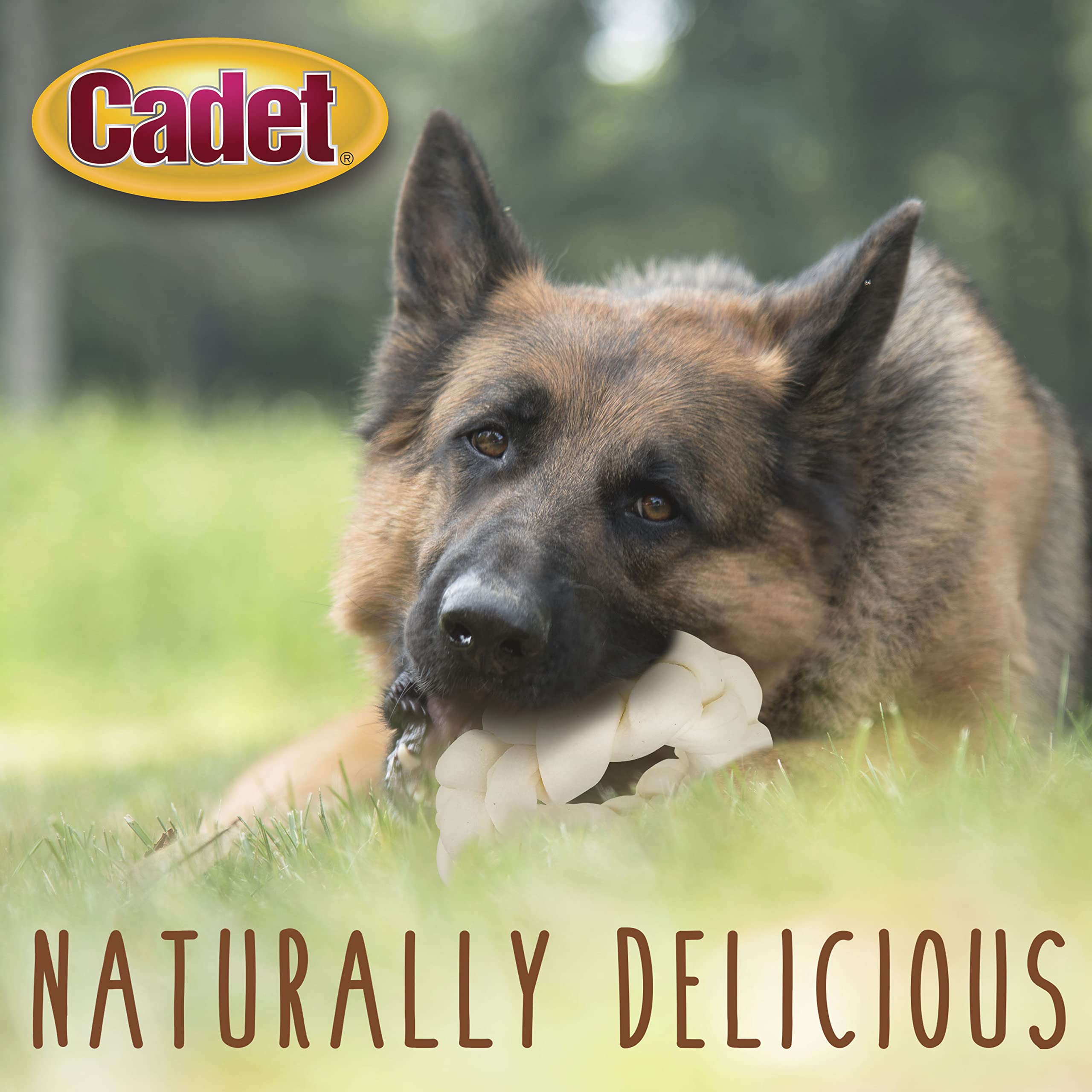 Cadet Premium Grade Beef Hide for Dogs, Long Lasting Rawhide Donut Bone, Single Ingredient Dog Chews, 8 Inch (1 Count) - Image 5