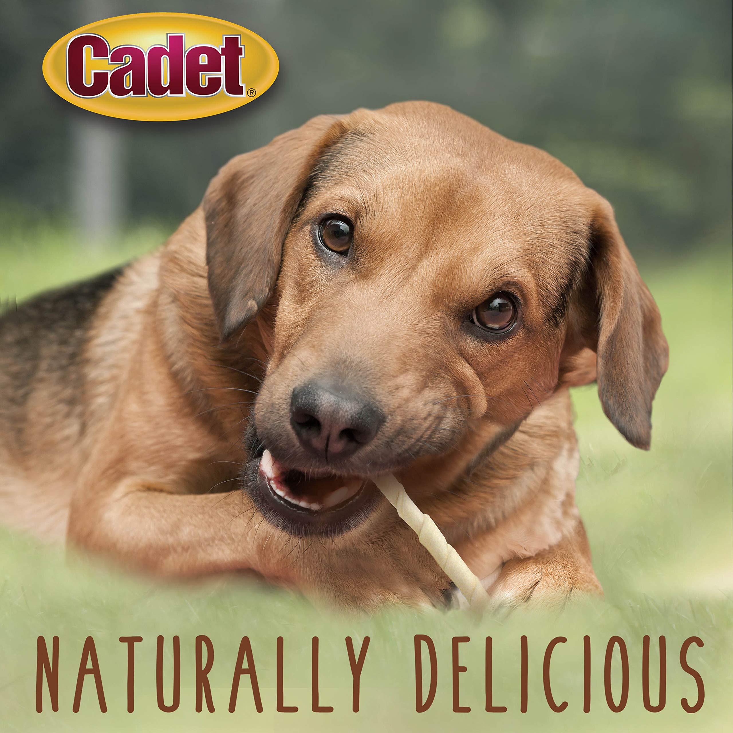 Cadet Premium Grade Beef Hide for Dogs, Long Lasting Rawhide Twist Chew Sticks, Natural Dog Chews, 5 Inch Dog Bones (34 Count) - Image 5