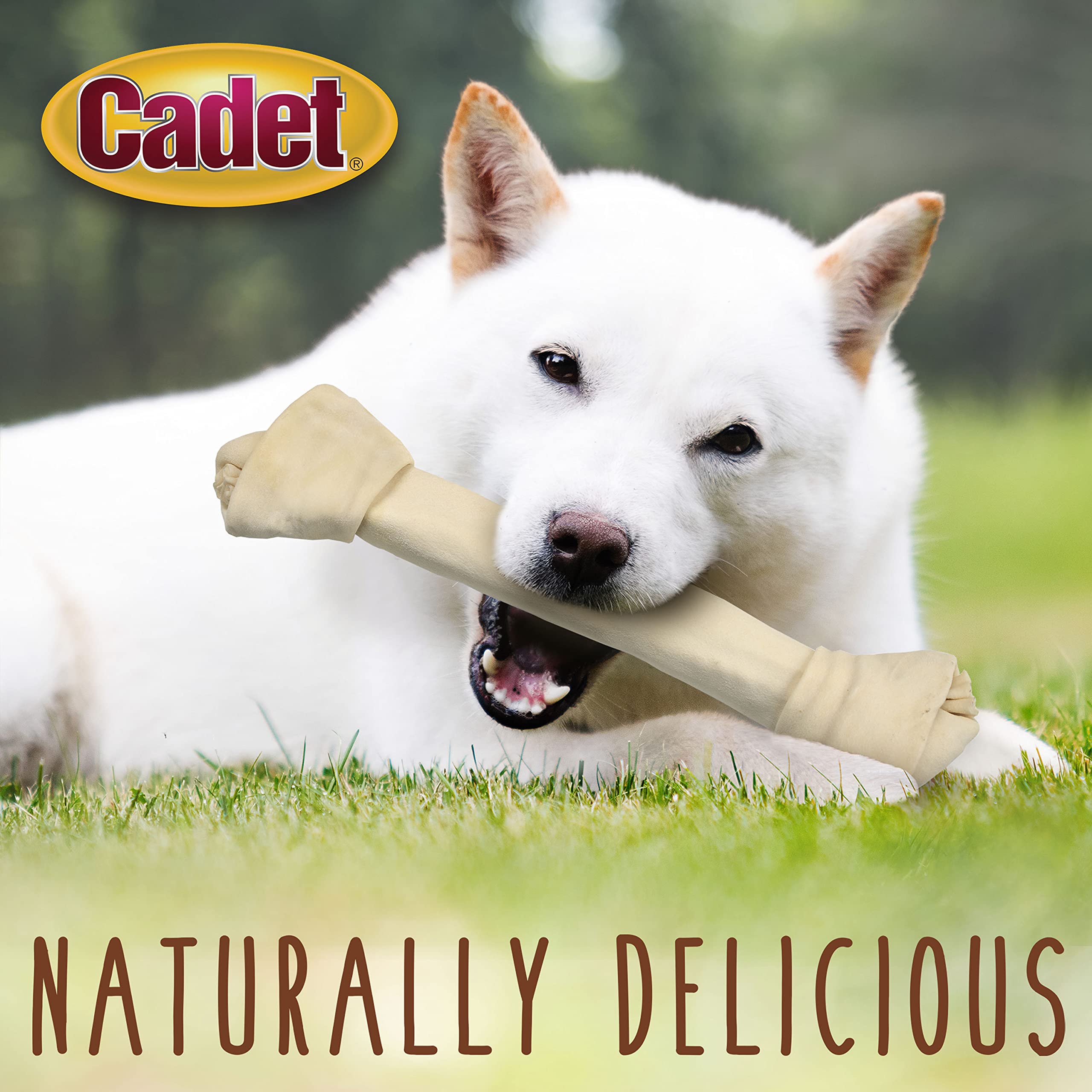 Cadet Premium Grade Beef Hide for Dogs, Long-Lasting Rawhide Knotted Bones Single-Ingredient Dog Chews, 14" - 15", 1 Count - Image 4