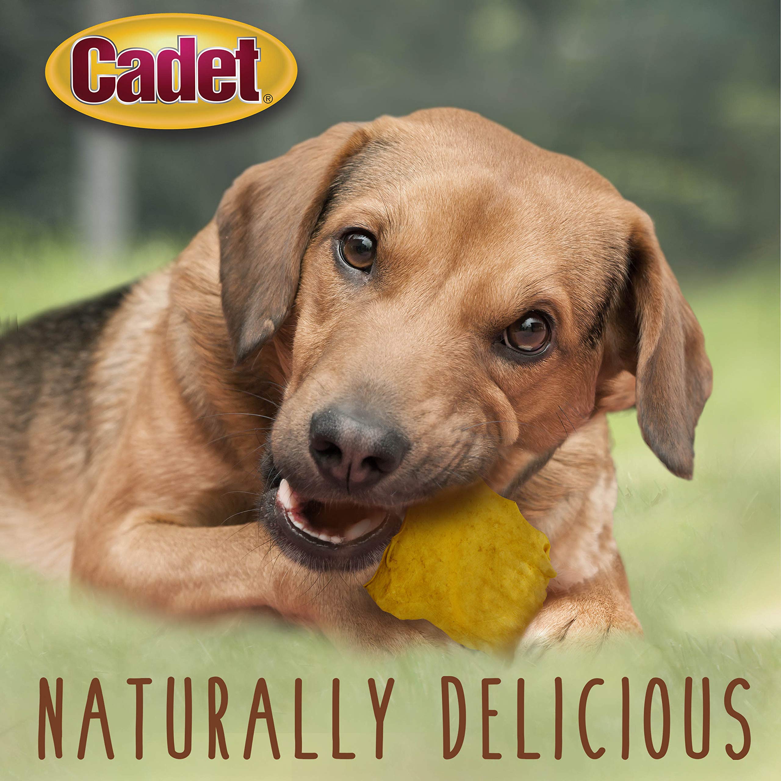 Cadet Premium Grade Beef Hide for Dogs, Rawhide Long Lasting Dog Chews, Chips, Curls & Rolls for Small/Medium/Large Dogs - Image 4