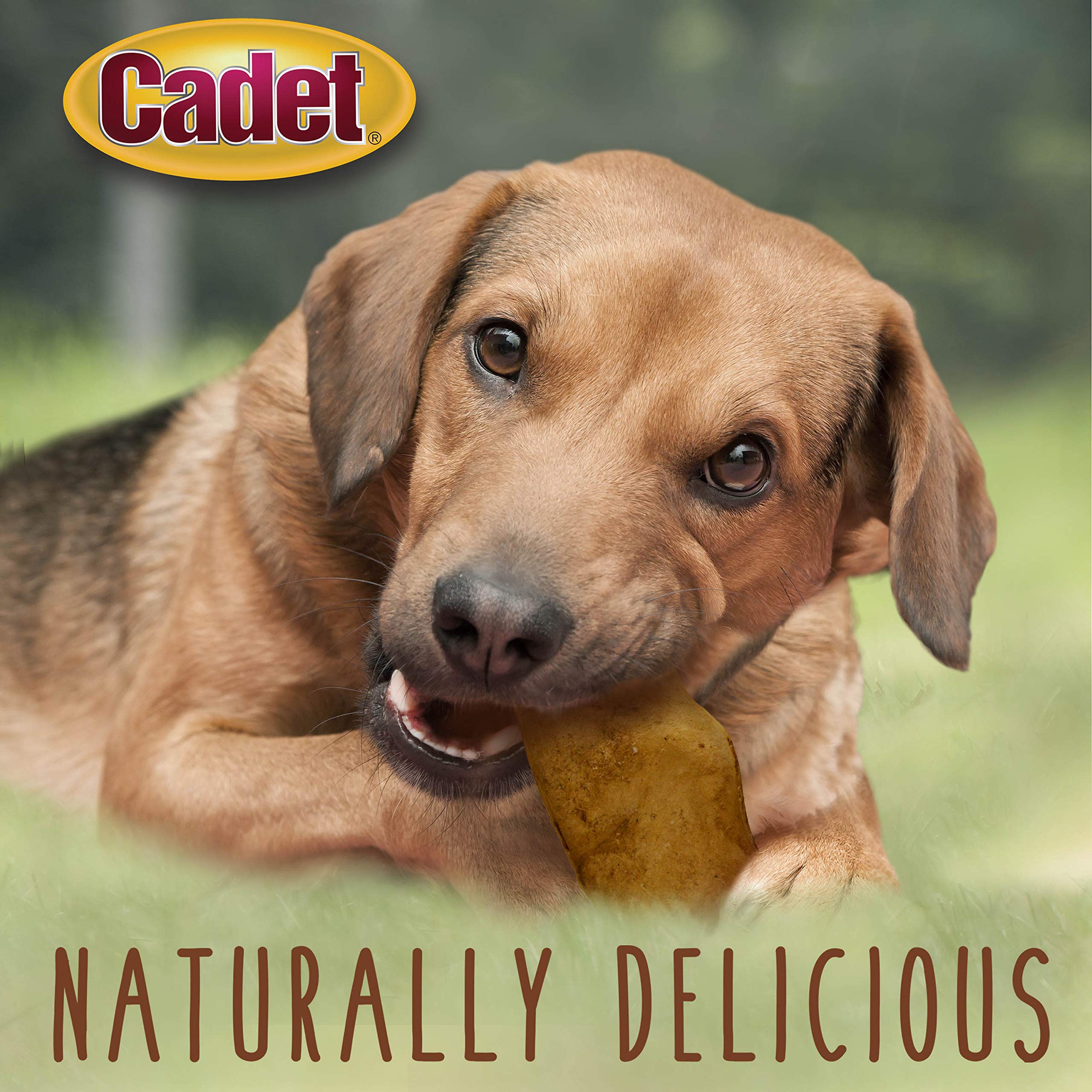 Cadet Premium Grade Beef Hide for Dogs, Rawhide Long Lasting Dog Chews, Chips, Curls & Rolls for Small/Medium/Large Dogs - Image 4