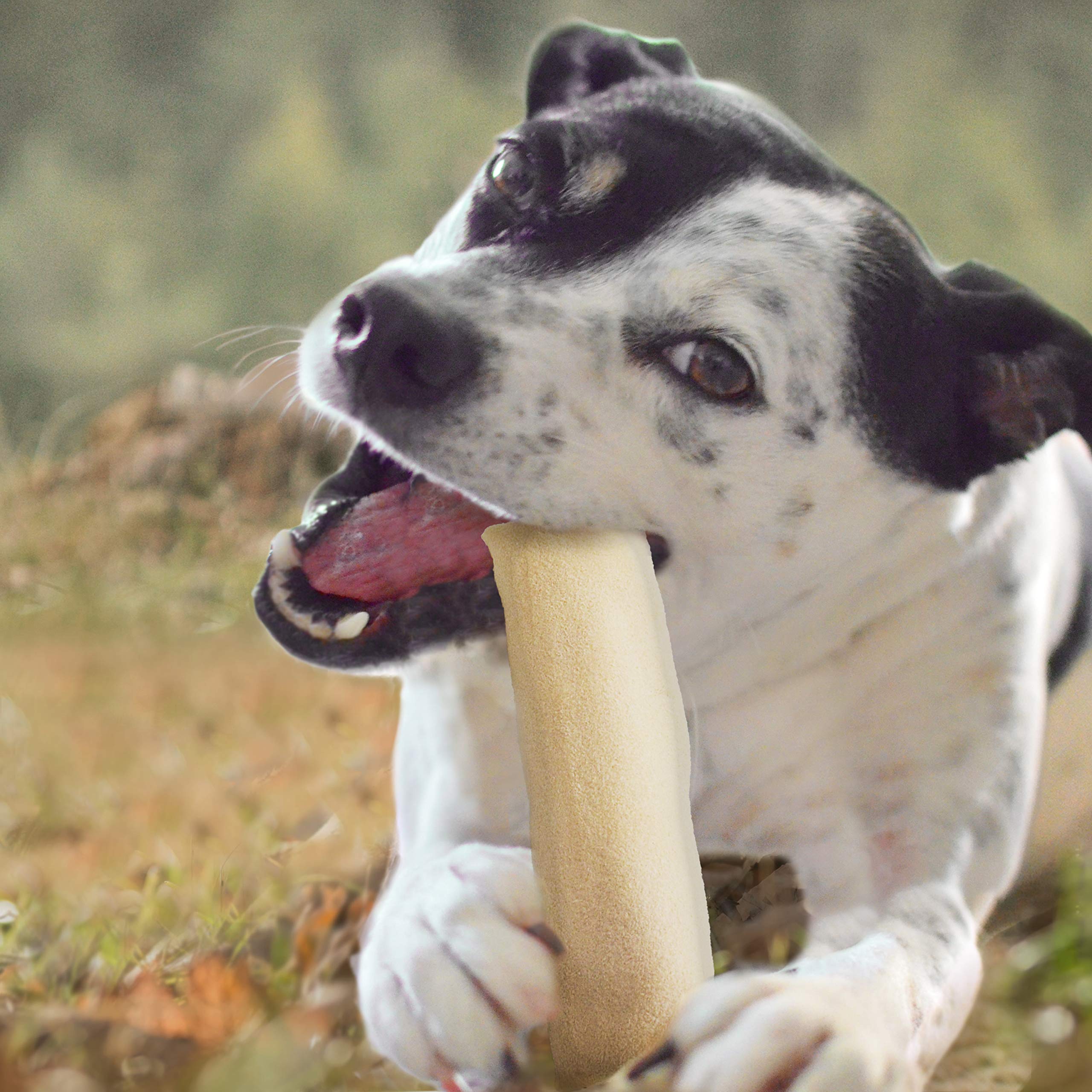 Cadet Premium Grade Beef Hide, Long-Lasting Rawhide Rolls, Single-Ingredient Dog Chews for Small Breeds, 1 Pound - Image 10