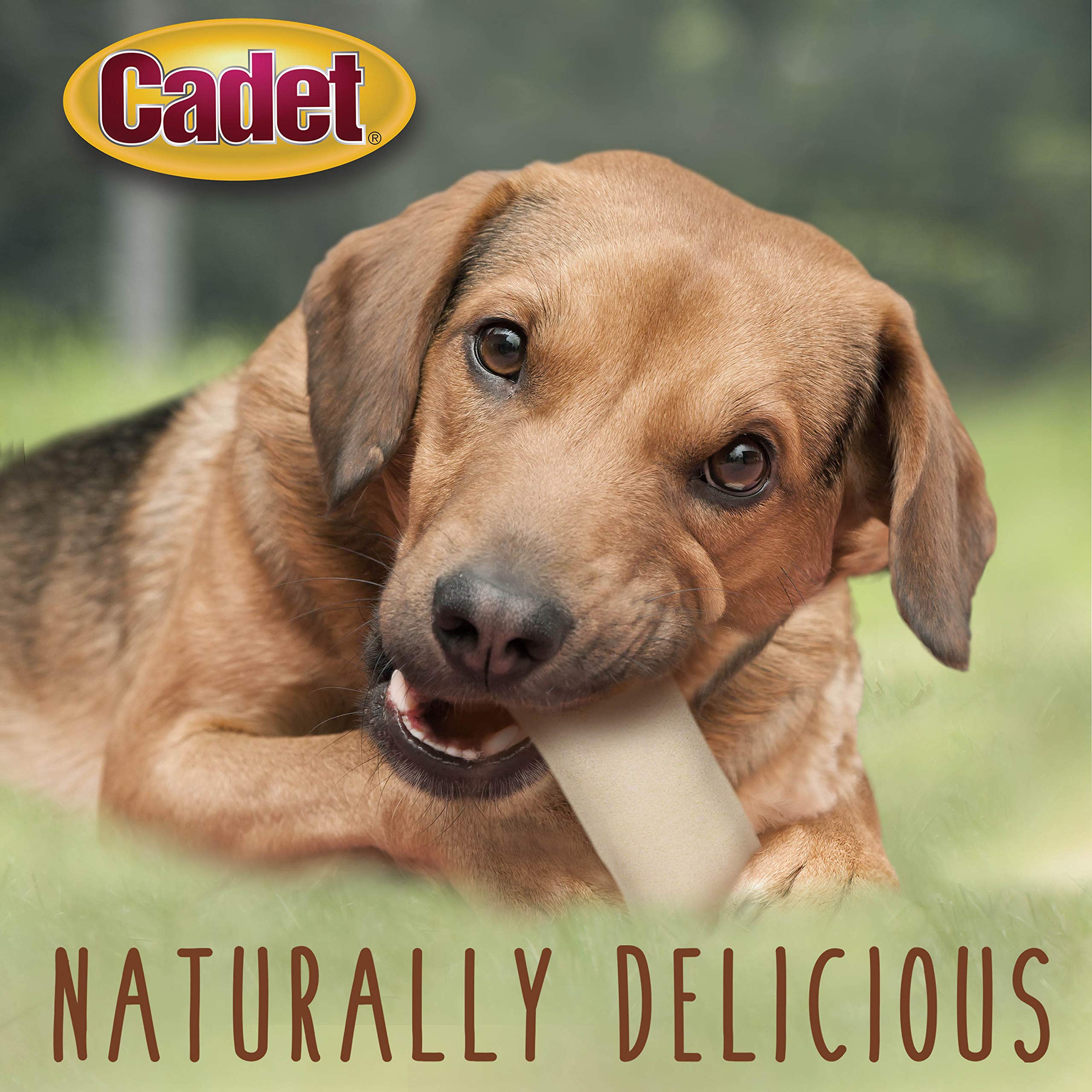 Cadet Premium Grade Beef Hide, Long-Lasting Rawhide Rolls, Single-Ingredient Dog Chews for Small Breeds, 1 Pound - Image 5