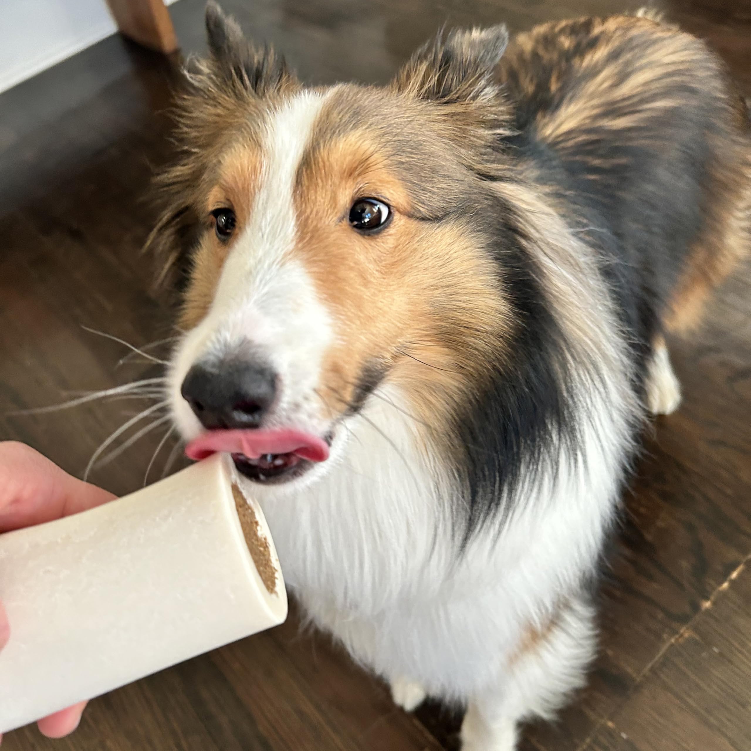 Cadet Stuffed Shin Bone, Long-Lasting Dog Chew Bones for Aggressive Chewers, High Protein Filled Bone Dental Chew for Dogs, Bacon & Cheese Flavor Filling, 3-4" for Small Dogs - Image 6